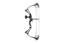 Compound Bow